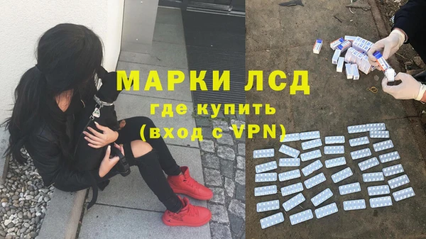 молекула духа Мегион