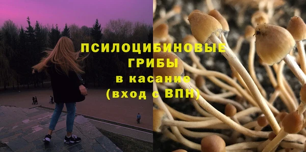 скорость Медвежьегорск