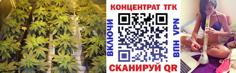 ТГК Wax  Псков 