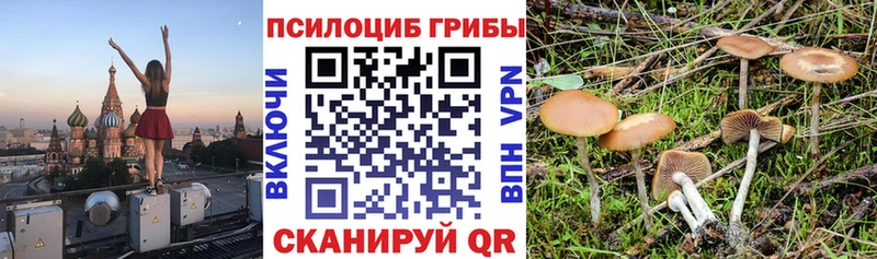сколько стоит  МЕГА зеркало  Галлюциногенные грибы Magic Shrooms  Псков 